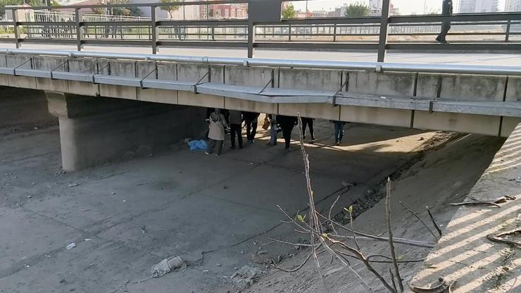 Köprü altında başından tabancayla vurulmuş cesedi bulundu