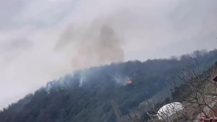 Yalovada orman yangını, yarım saate söndürüldü
