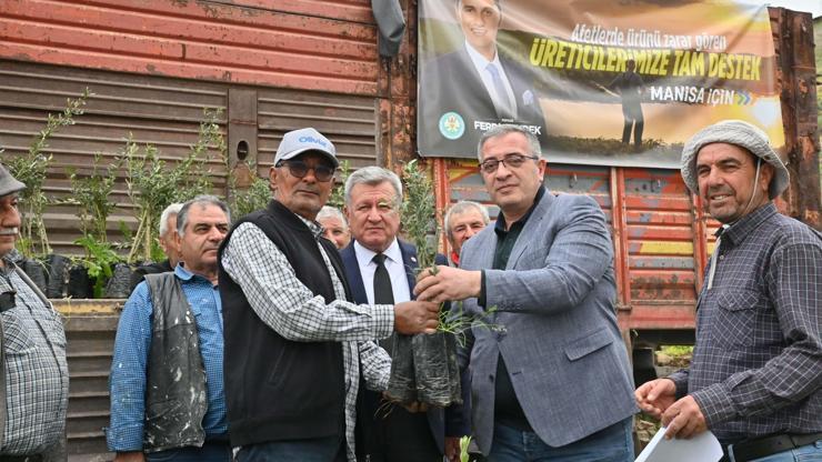 Manisada yangında zarar gören çiftçilere fidan desteği