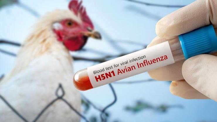 Meksikada ‘H5N1’ kaynaklı ilk ölüm