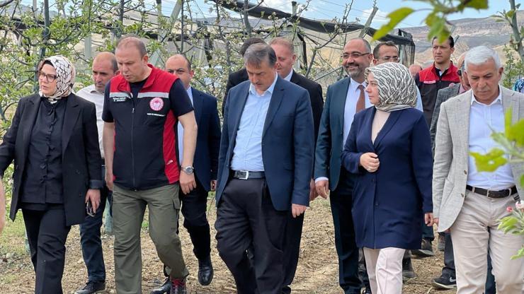 AK Partili Böhürler, zirai don sonrası çiftçilerle bir araya geldi