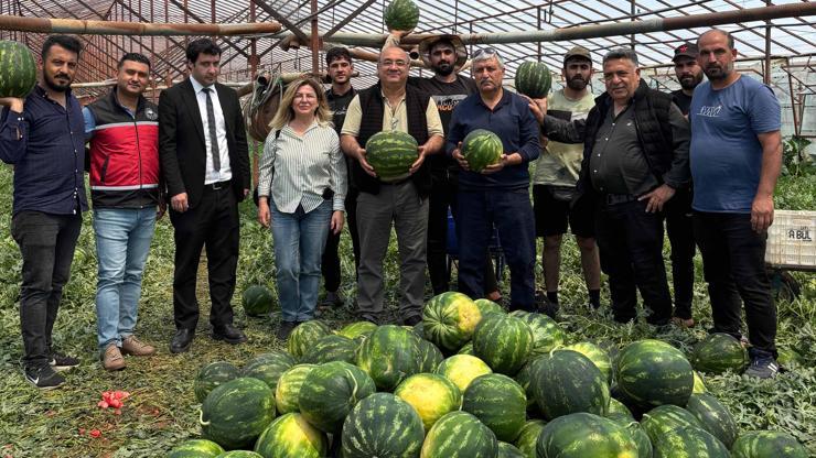 Serikte örtü altı üretimde 37 bin ton karpuz beklentisi