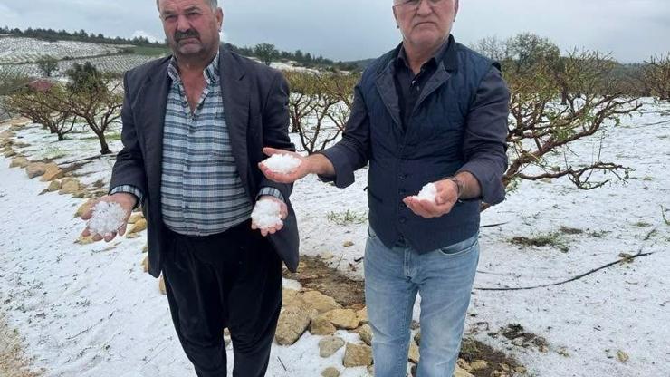 Mersin’de tarım ürünlerini dondan sonra dolu vurdu