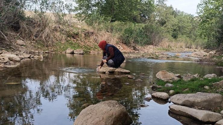Osmaniye’de nitrat kirliliğine rastlanmadı