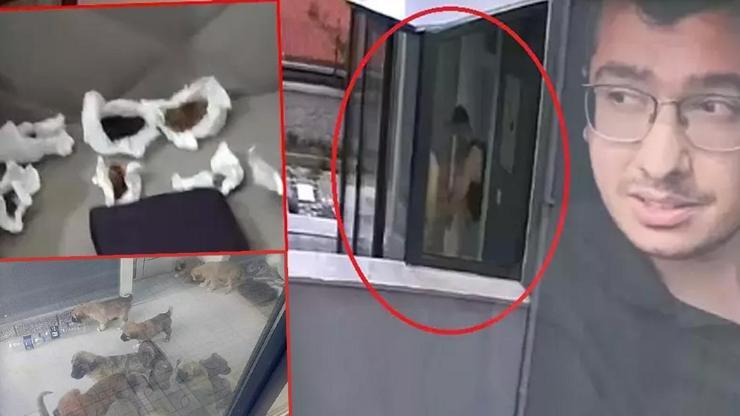 Köpekleri parçalayan doktorun evinden çıkanlar şoke etti