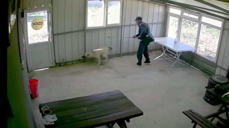 Köy kahvesinde köpek bastonla darbedildi