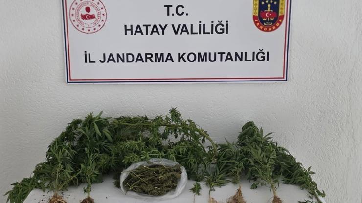 Hatay’da uyuşturucu operasyonları: 67 gözaltı