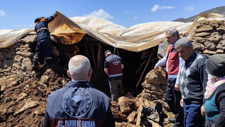 Bingölde ahırın tavanı çöktü; 1 inek öldü, 10u kurtarıldı