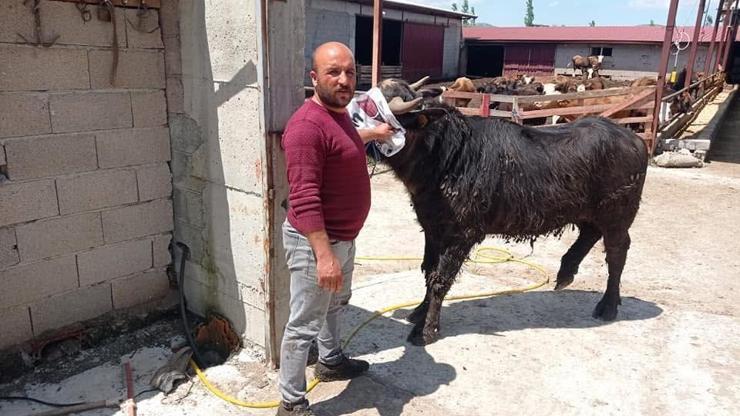 Afyonkarahisarda komşuların arazi kavgası kanlı bitti: 1 ölü