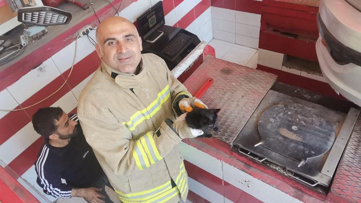 Otomobilin motor kısmına sıkışan yavru kedi kurtarıldı