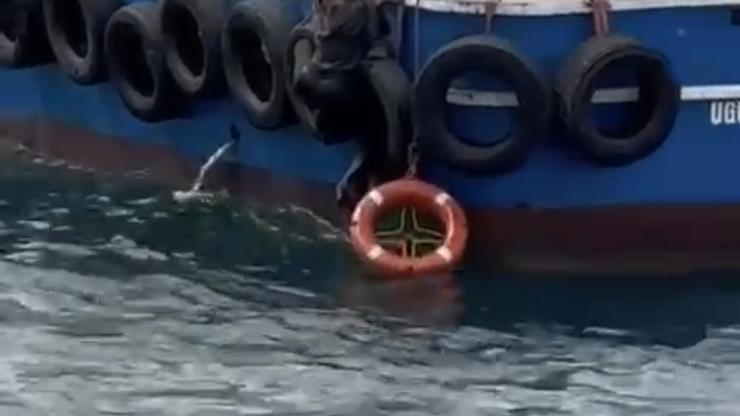 İstanbul - Kartalda vapurdan denize düşen kadını balıkçılar kurtardı