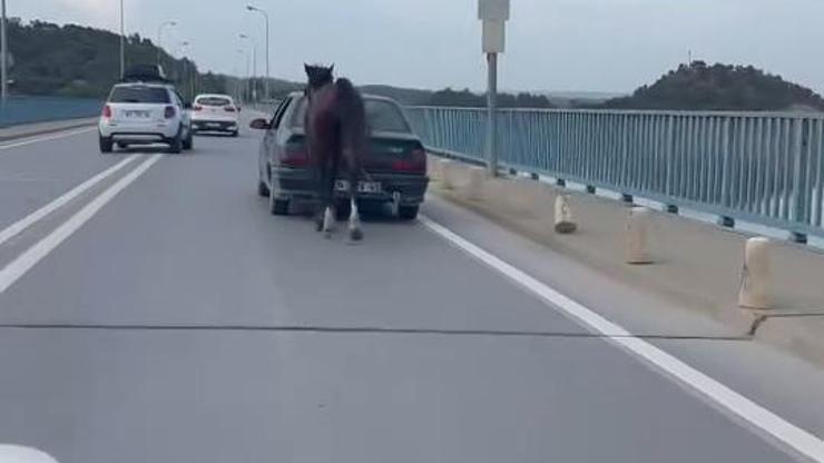 Otomobile bağladığı at ile ilerledi; 2 gözaltı