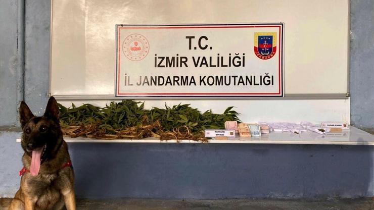 İzmirde uyuşturucuya 2 gözaltı