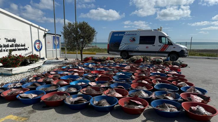 İstanbul- Arnavutköyde kaçak avlanan 900 kalkan balığına el konuldu