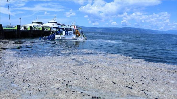 Bakanlıktan müsilaj denetimi: 268 işletmenin faaliyetleri durduruldu