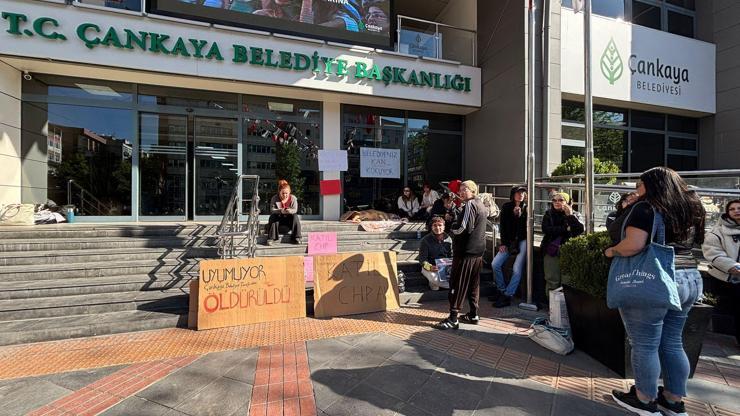 Hayvanseverlerden, belediye önünde ölü köpek ile eylem