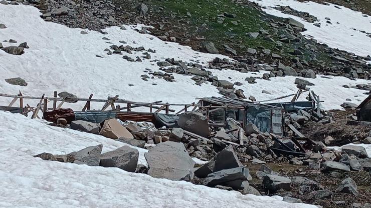 Verçenik Yaylasında çığ ve ayı tahribatı