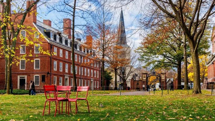 Harvard Üniversitesinden ABD Başkanı Donald Trumpa dava: Öğrencileri silmeye çalıştı