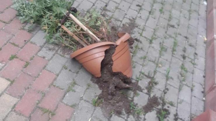 Pamukovada fırtına etkili oldu