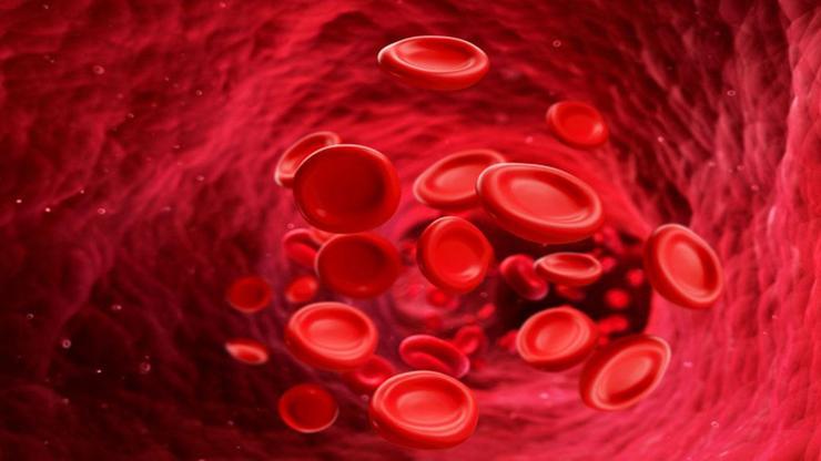HGB Nedir Hemoglobin Yüksekliği ve Düşüklüğü Ne Anlama Gelir