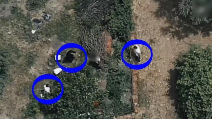 İznikte 7,5 Yıl Hapis Cezası Olan Şahıs Dronla Yakalandı