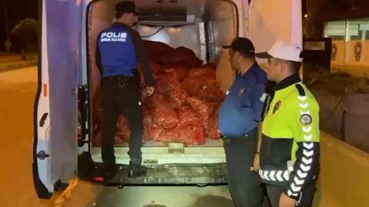 Samsunda Kaçak Midye Operasyonu