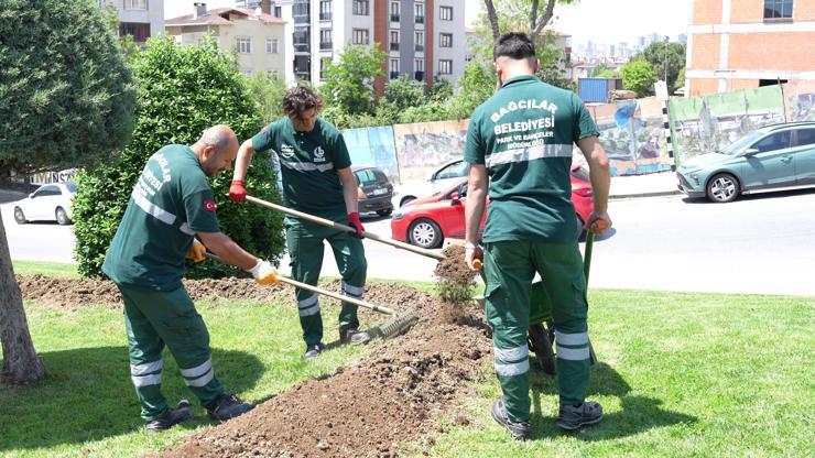 Bağcılarda ayda 1 ton kahve posası gübre olarak değerlendiriliyor