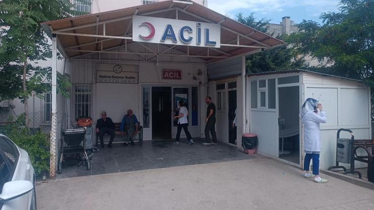 Yılanın ısırdığı çoban hayatını kaybetti