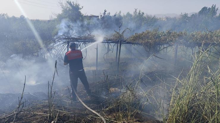Silopi’de bahçe yangınını itfiaye söndürdü
