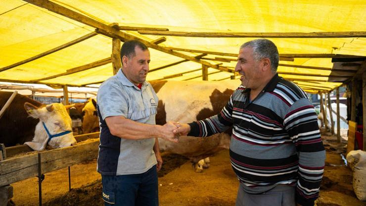 Bornova Kurban Pazarı Açıldı