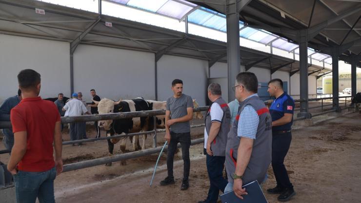 Kurbanlık hayvan satış alanlarında denetim