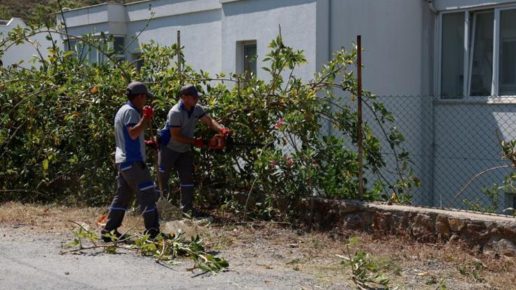 Bodrumda ot ve budama temizliğinin bu defaki adresi Akyarlar Mahallesi oldu