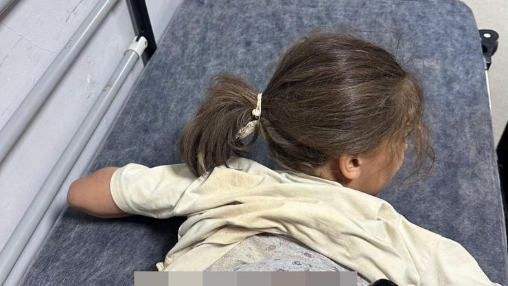 Mardinde sokak köpeklerinin saldırısı: 7 yaşındaki Zeynep yaralandı