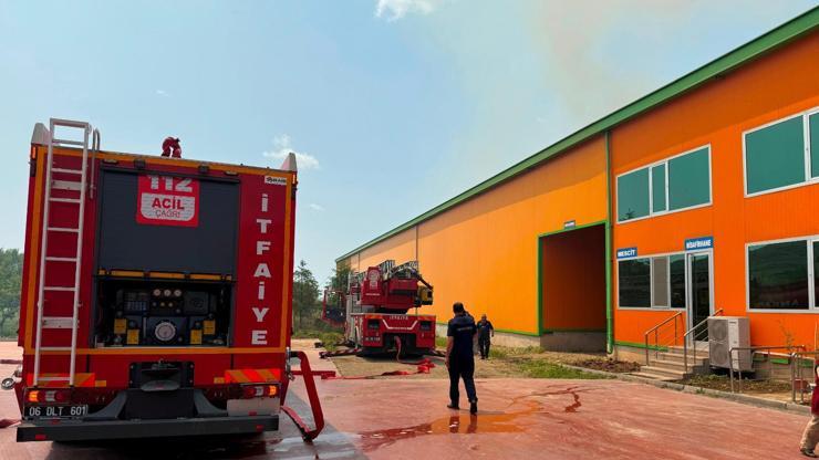 Ankarada Yumurta Tesisinde Yangın: 150 Bin Tavuk Öldü