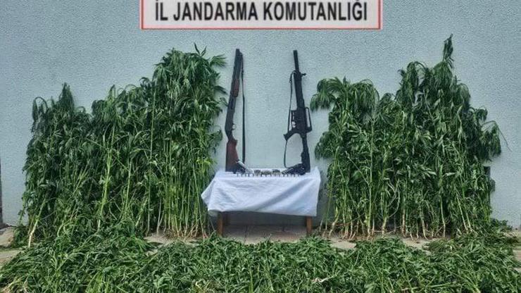 Tekirdağda uyuşturucu operasyonunda 3 gözaltı