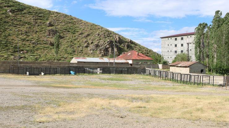 Hakkarinin 3 ilçesinde bayram öncesi şap karantinası: Hayvan pazarları kapatıldı