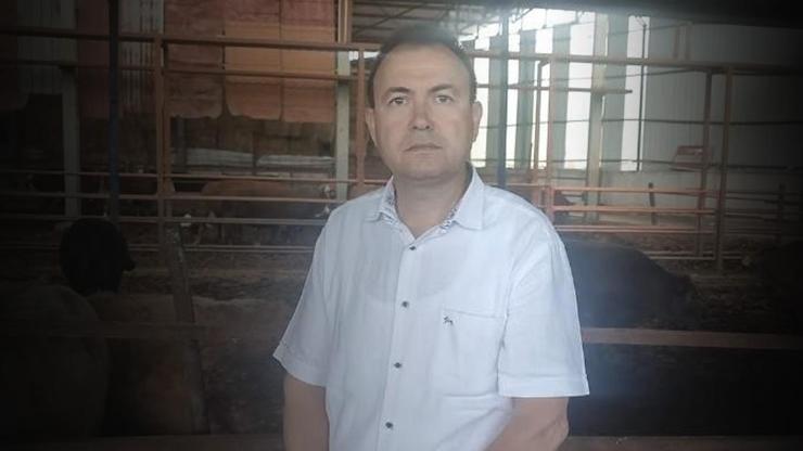 Korkunç son Kurbanlık dananın fotoğrafını çekmek isterken canından oldu