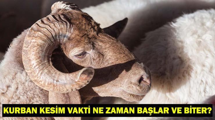 KURBAN KESİM VAKTİ NE ZAMAN BAŞLAR VE BİTER Kurban Kesim Başlama ve Bitiş Tarihi Diyanet Bilgisi