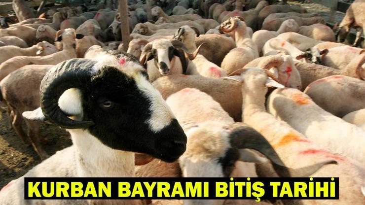 KURBAN BAYRAMI KAÇ GÜN Kurban Bayramı tatili ne zaman bitiyor İşte bayramın sona ereceği tarih…