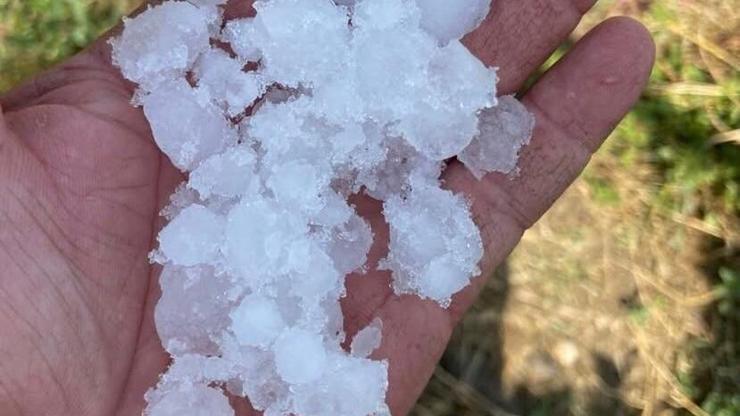 Manisa’da dolu alarmı Sarıgöl bağlarını tül örtüler kurtardı