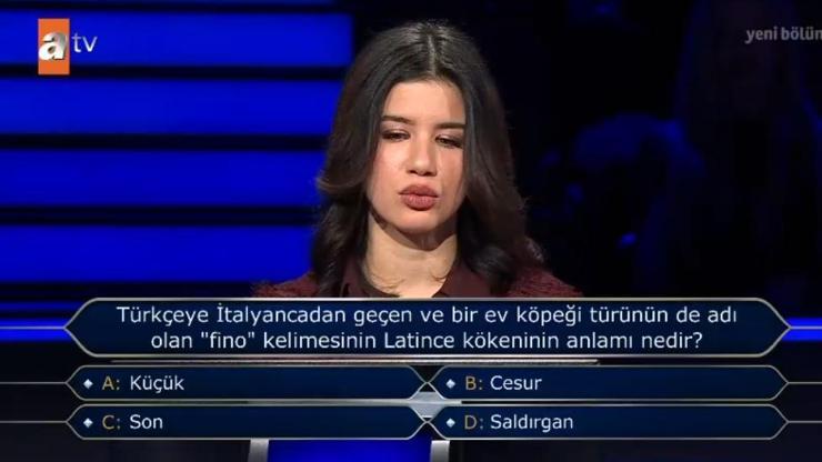 Fino kelimesinin Latince kökeninin anlamı nedir