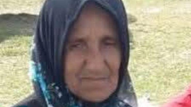 Orduda, hafriyat kamyonunun çarptığı yaya öldü