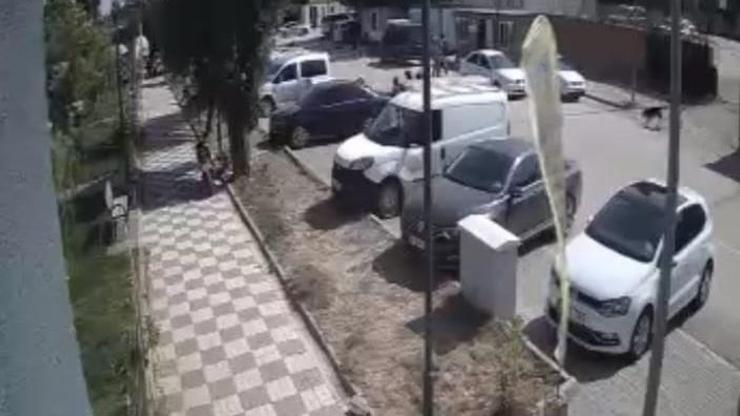 Sokak köpeklerinin çocuklara saldırdığı anlar kamerada