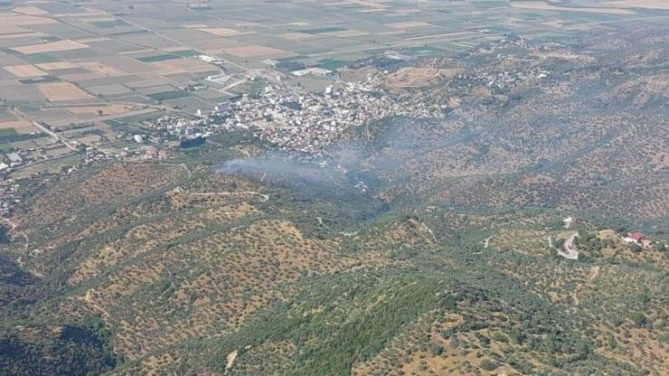 Aydında, tarım arazisindeki yangın 1,5 saatte söndürüldü