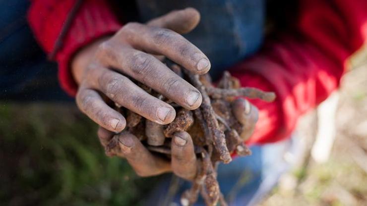 Çocuk işçiliğiyle mücadelede yeni dönem Bakanlık ve UNICEF’ten güçlü iş birliği