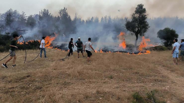 Muğlada yılın ilk 6 ayında 380 anız yangınına müdahale edildi