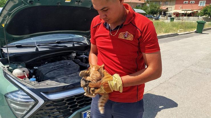 Erzincan’da otomobilin motor bölümüne sıkışan kedi yavrularını itfaiye kurtardı