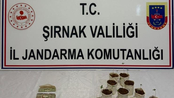 Şırnakta 1 Milyon 550 Bin TLlik Kaçak Malzeme Ele Geçirildi