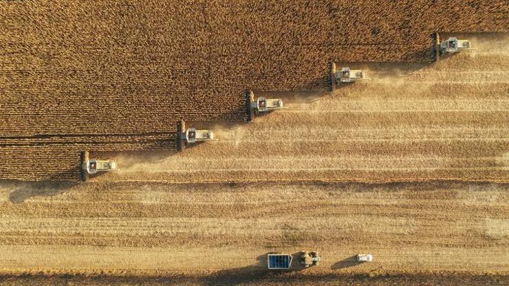Tarım ÜFE mayısta yavaşladı: Yıllık artış yüzde 29’a yaklaştı