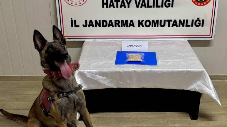 Hatayda Uyuşturucu Operasyonları: 23 Şüpheli Yakalandı